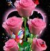 Matilda Jimenez - Facebook