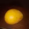 Matilda Lee - @matilda.lee7 - TikTok