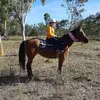 Matilda lee - @matilda_the_horse - TikTok