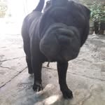 Sanjuan Bautista - @matildalogan359 - Instagram