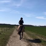 Matilda Müller - @matildaamuller - Instagram