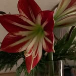 Matilda Müller - @erdbeere_kuchen_fantastisch - Instagram