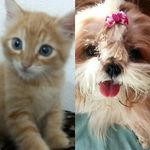 Matilda&Oliver - @oliver_matilda - Instagram