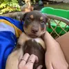 Matilda.Oliver - @matilda.oliver84 - TikTok