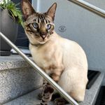 Matilda Patterson - @resesaw625 - Instagram