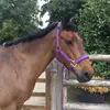 TILDABOO10 - @matildarandolph9 - TikTok