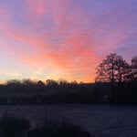 Matilda Roberts - @matilda.roberts9 - Instagram