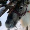 matilda_shaw - @matilda_shaw - TikTok