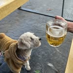 Matilda Suarez-Cotton - @the.polar.beer - Instagram