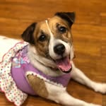 Matilda Anne Tabberrah - @matildatabberrah - Instagram