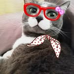 Matilda Tran - @miss.matilda.cat - Instagram