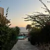 matildaa‼️‼️ - @matildatran10 - TikTok