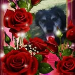 Matilde Barbosa - Facebook
