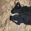 Matilde barbosa - @tilde.barbosa - TikTok