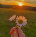 Matilde Chavez - Facebook