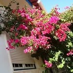 Matilde Costa - @matilde.costa.10004 - Instagram