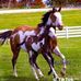 Matilde Dominguez - Facebook