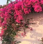 Matilde Espinoza - Facebook