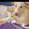 matildejuarez29 - @matildejuarez29 - TikTok