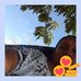Matilde Márquez - Facebook