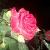 Matilde Miranda - @matilde.miranda91 - TikTok