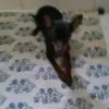 Matilde Miranda - @matilde._.fofa - TikTok