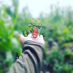 Matilde Ruiz - @matilde.ruiz.5851 - Instagram