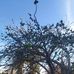Matilde Ruiz - Facebook
