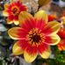Matilde Serena Calicanto - Facebook