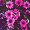 Matilde Trejo - @matilde.trejo65 - TikTok