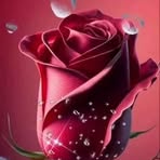 Matilde Trejo - Facebook