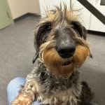 Matt Abbott - @wiener_trails - Instagram