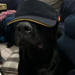 Matthew Abney - @mattabney0077 - Instagram