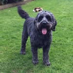 Dennis Matt Allington - @dennismattallington - Instagram