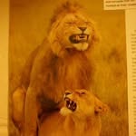 Matt Ammons - @xx_maver1ck_xx - Instagram