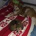Andreas Matt - Facebook