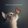 Mattsson Andreas - @mattsson.andreas4 - TikTok