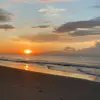 🌅🇦🇺𓆉 - @matt..angell - TikTok