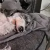 Matt Angell - @matt.angell - TikTok