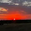 mattangelo - @mattangelo_ - TikTok