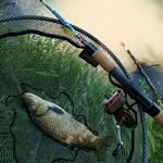 Matt_angler - @brtmtt99 - Instagram