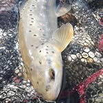Matteo Libralato - @matt_angler - Instagram