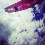 Matt Archambault - @archambaultmatt - Instagram