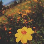 Matt Arellano - @r.oppenheimer1 - Instagram