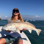 Matt Arensman - @mattarensman - Instagram