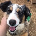 Matt Arnett - @marnett - Instagram