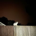 Matt Aspinall - @mattaspinalll - Instagram
