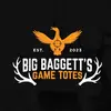 Matt baggett - @bigbaggettsgametotes - TikTok