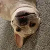 Matt Bainbridge668 - @mattbainbridge668 - TikTok