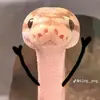 mattbainbridge3 - @mattbainbridge3 - TikTok